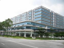 Vertex (D14), Factory #135100962